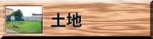 土地